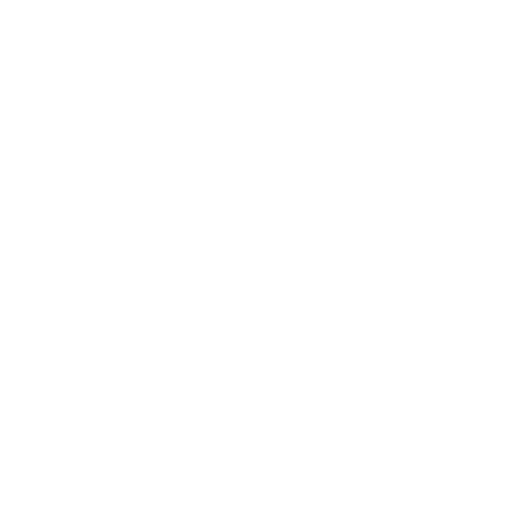 Dhakkan's Treks & Tours Logo